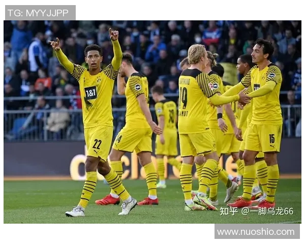 埃弗顿与南安普敦亚盘对比分析及赛前预测详解